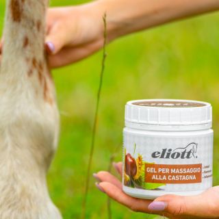 Gel per massaggio alla castagna.🌰 Lo sapevi che…⬇️ Viene usato per il trattamento di gonfiori ricorrenti, affezioni...